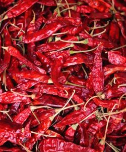 red-dry-chilli-_sukhi-lal-mirch_